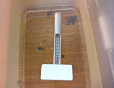 Аksessuary dlya bal'neologicheskikh vann