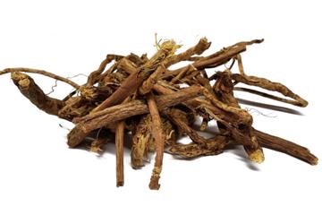 kratkaya-harakteristika